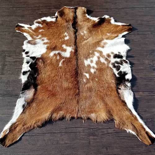 Goat Skin rugs